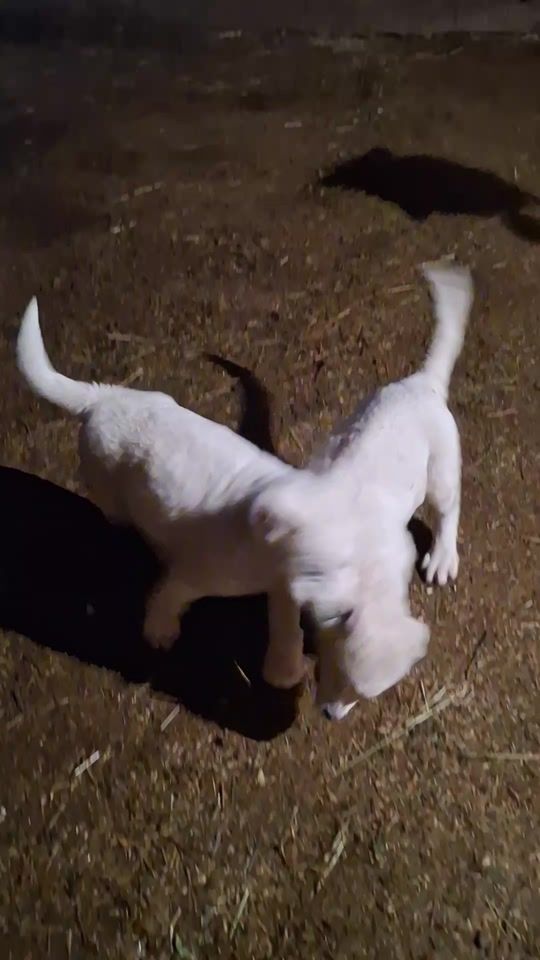 TikTok video thumbnail by sasun041