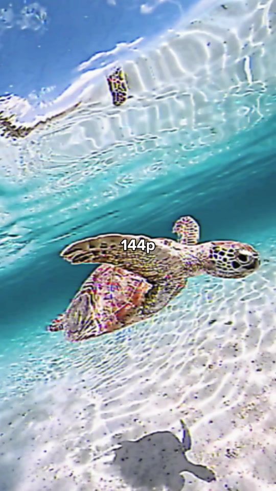 TikTok video thumbnail by rrrrr_rr12