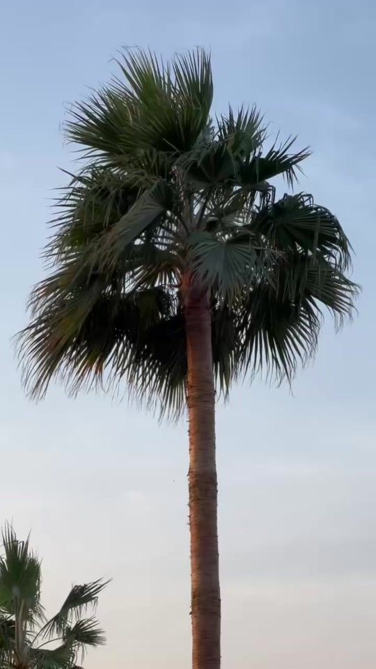 TikTok video thumbnail by n.k.r.21