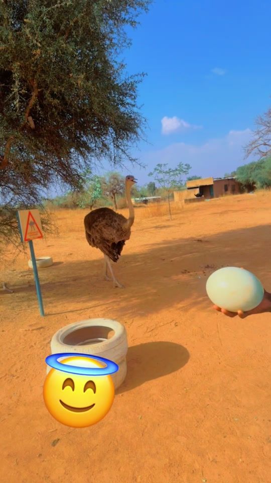 TikTok video thumbnail by le.plus.riche77