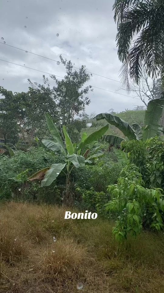TikTok video thumbnail by el_pacho00