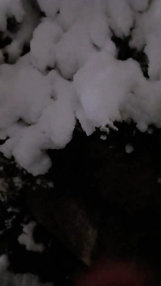 TikTok video thumbnail by user51532045690838