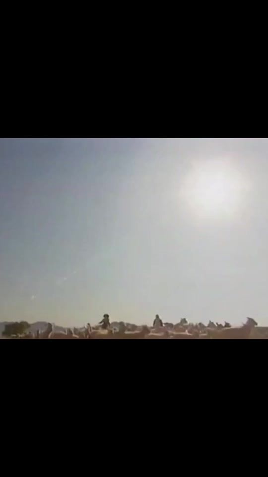 TikTok video thumbnail by fang6688899