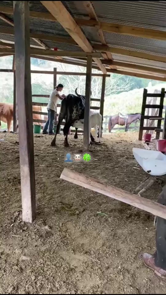 TikTok video thumbnail by alexander31816