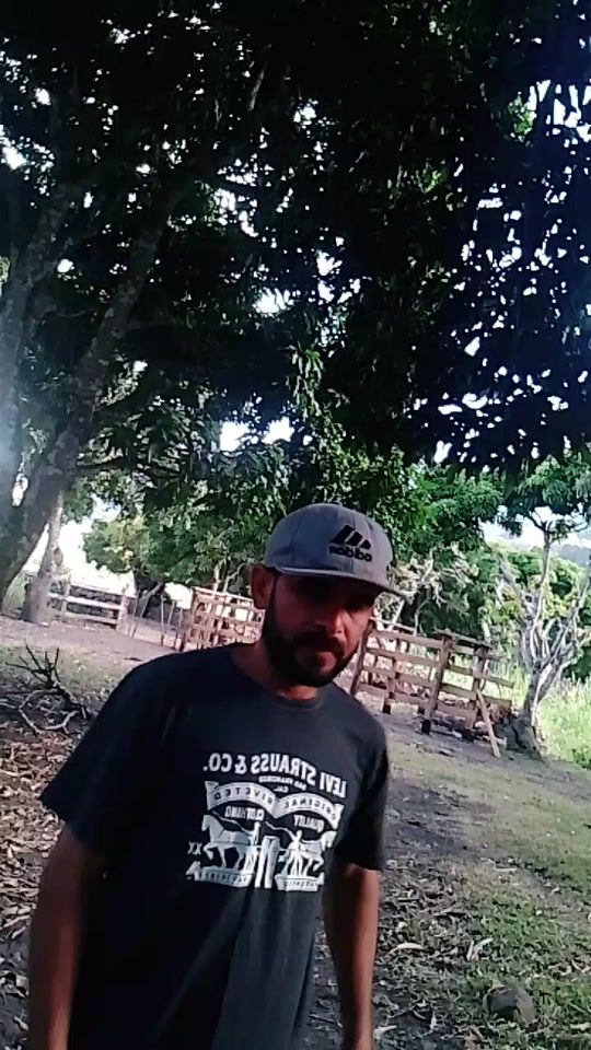 TikTok video thumbnail by gexelgonzalez