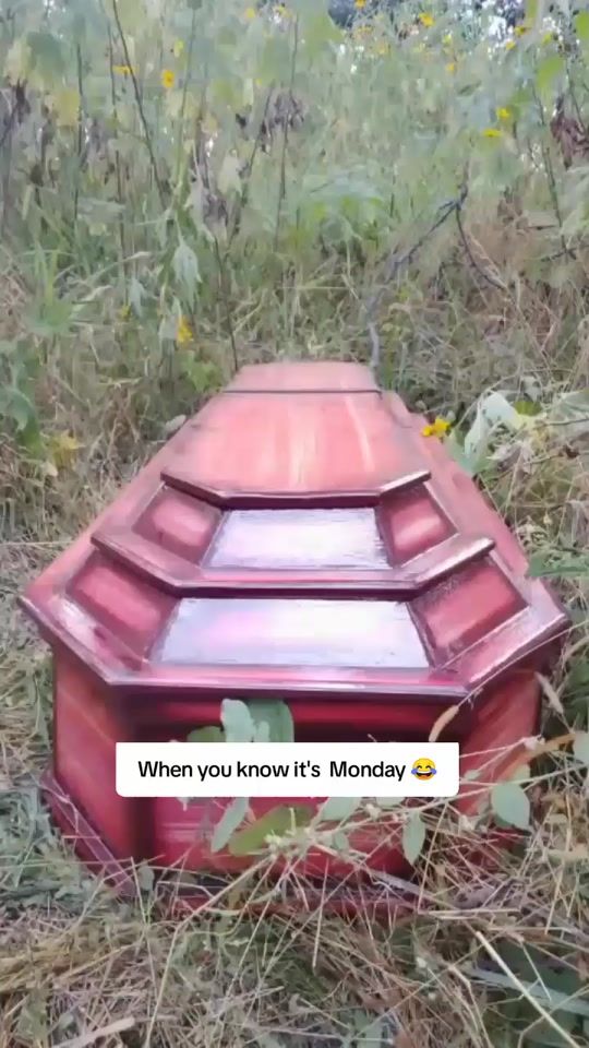 TikTok video thumbnail by chale.more