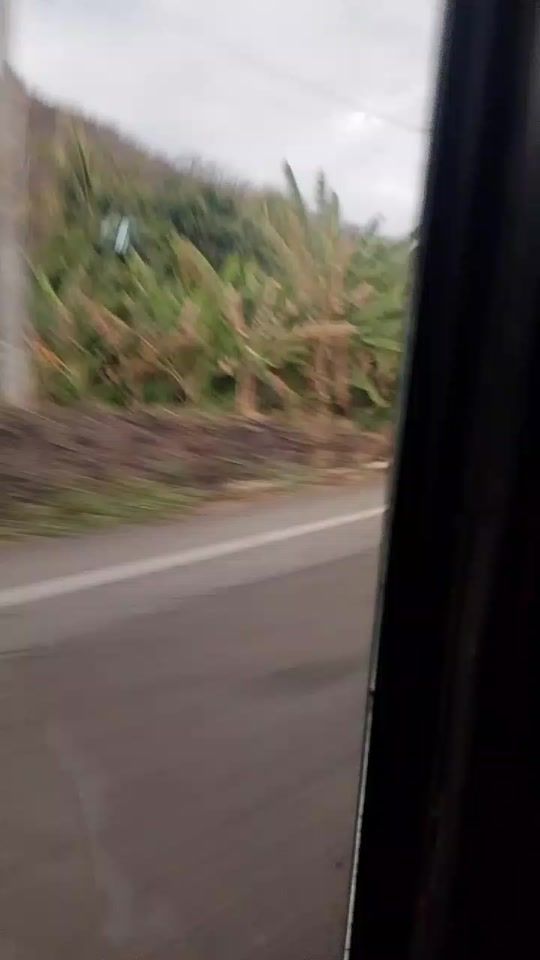 TikTok video thumbnail by celestemaria025