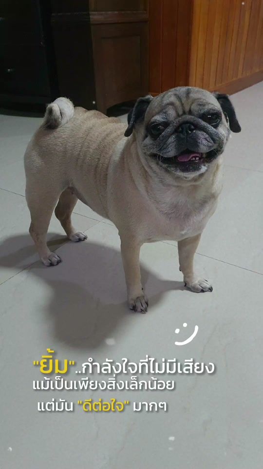 TikTok video thumbnail by user5335442846951