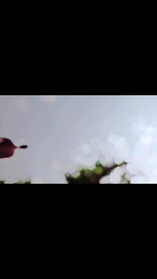 TikTok video thumbnail by solaiman436