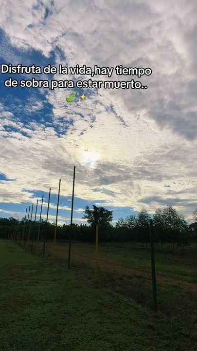 TikTok video thumbnail by robermachuca35