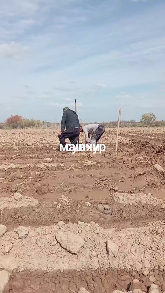 TikTok video thumbnail by ilxom_77_60