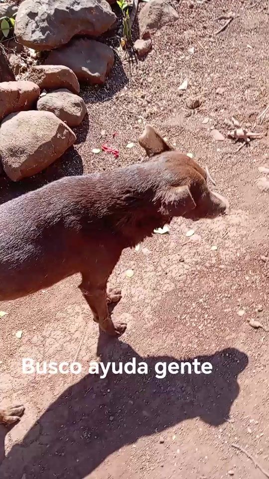 TikTok video thumbnail by cheli5693