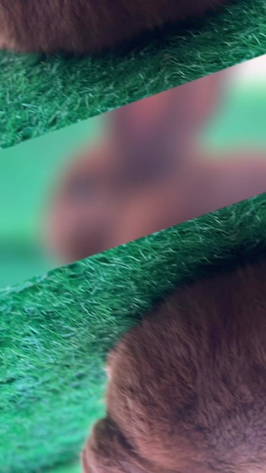 TikTok video thumbnail by fds_khafor