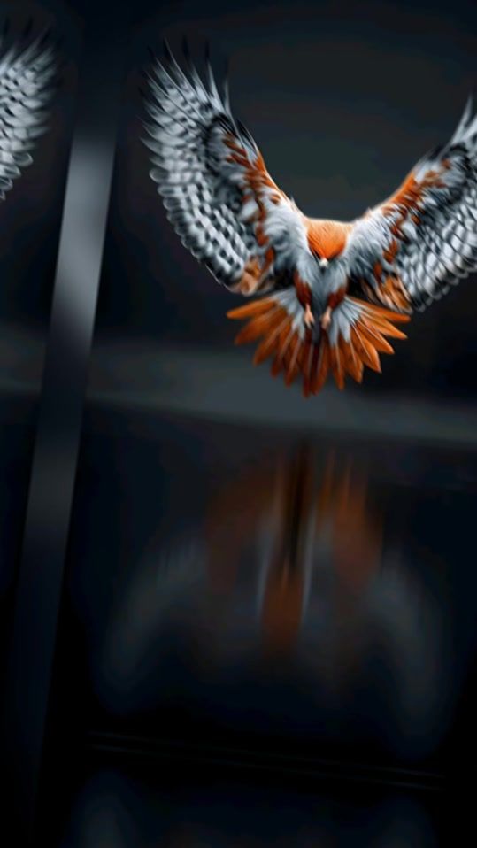 TikTok video thumbnail by 3m.elghazy