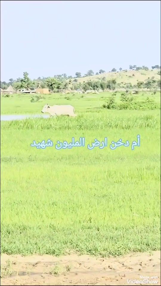 TikTok video thumbnail by m_153782