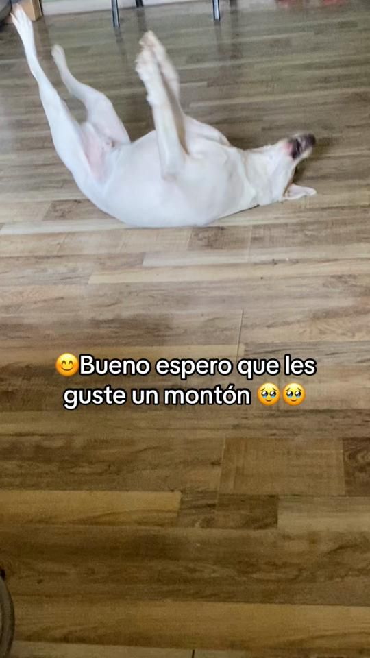 TikTok video thumbnail by 09stefany06