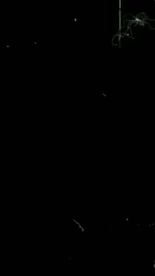 TikTok video thumbnail by cnl_tanzir_1
