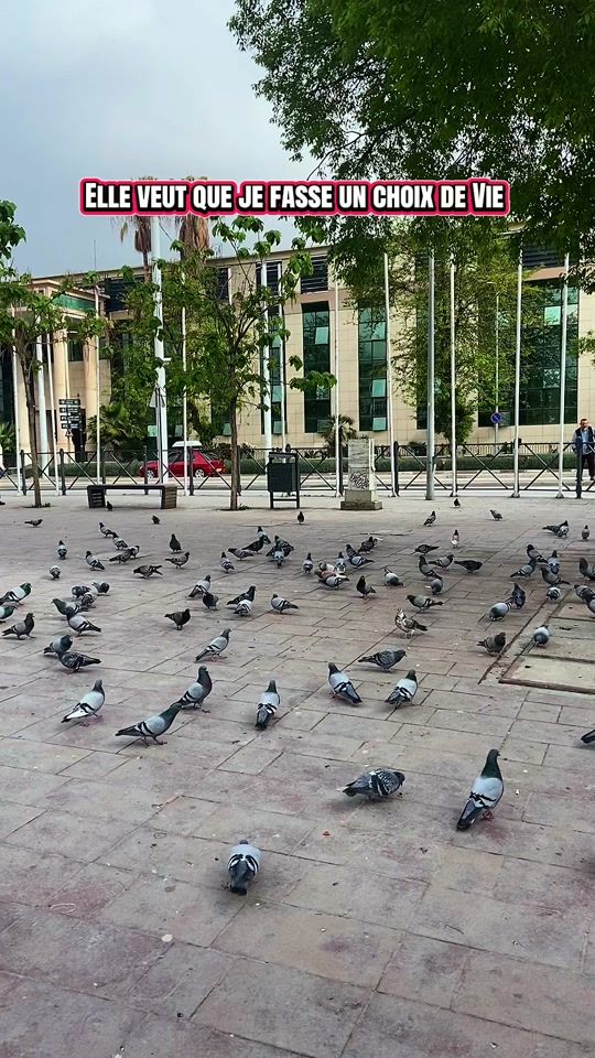 TikTok video thumbnail by walid_ikhlef_19