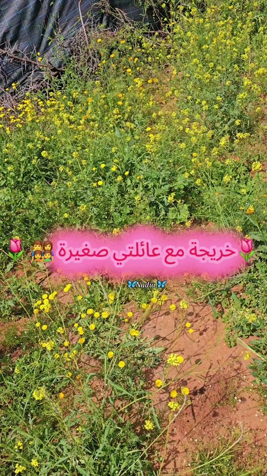 TikTok video thumbnail by nadia___kids
