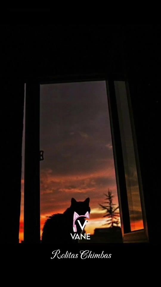 TikTok video thumbnail by rolitass_chimbas