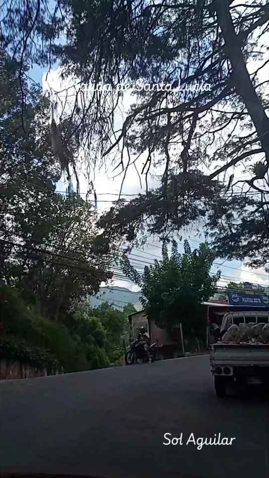 TikTok video thumbnail by sol_aguilar_34