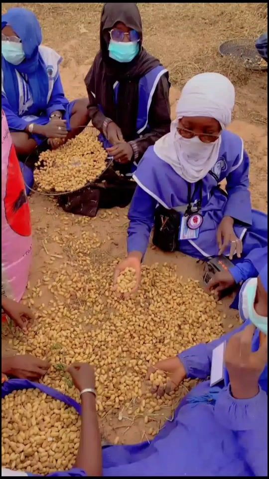 TikTok video thumbnail by abdou_dieng_bou_ndss_124