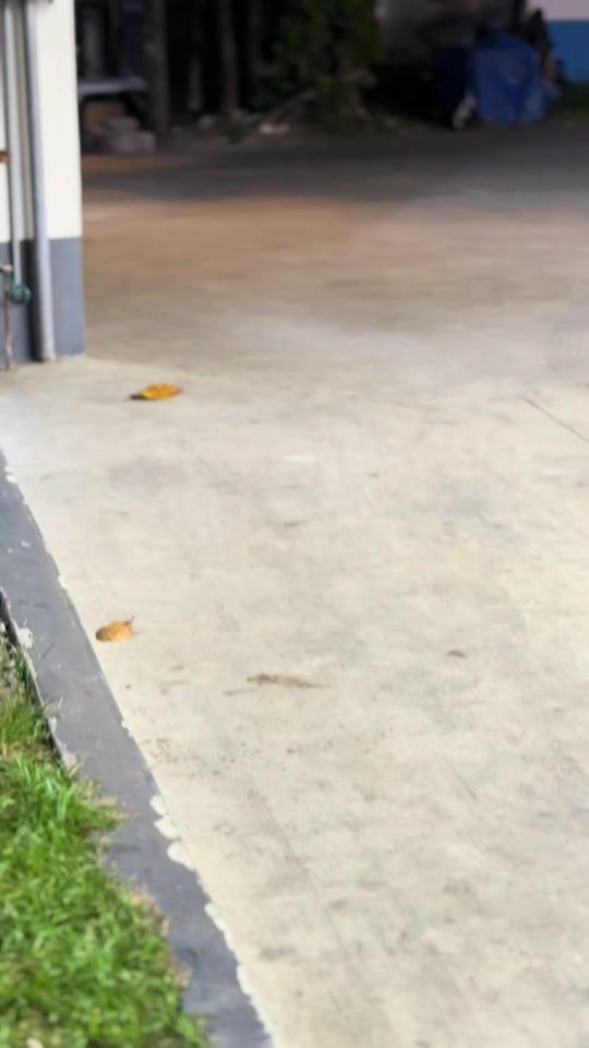 TikTok video thumbnail by voidjayyy