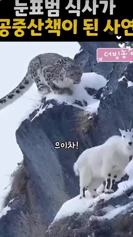 TikTok video thumbnail by onemoreact