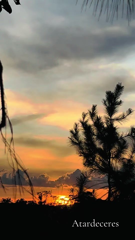 TikTok video thumbnail by atardeceres122