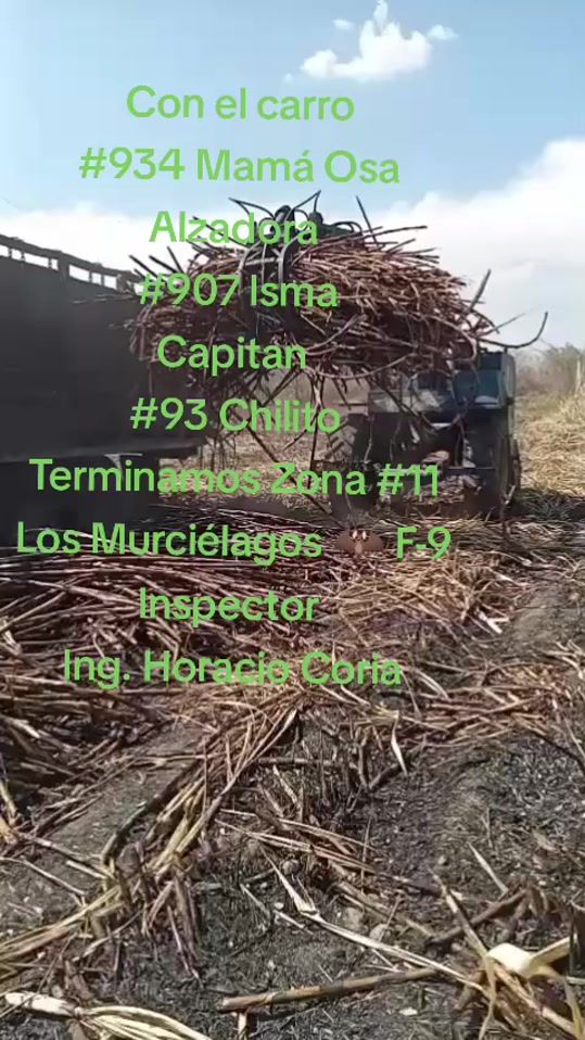 TikTok video thumbnail by zevlagso