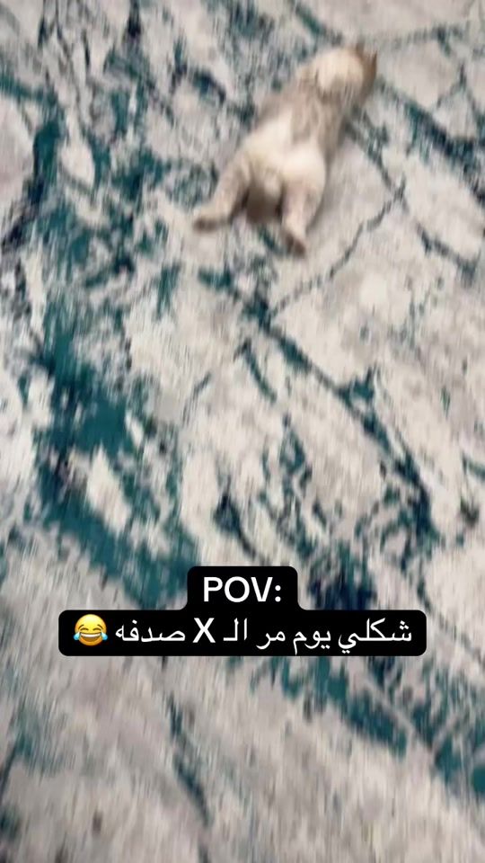 TikTok video thumbnail by amm110_