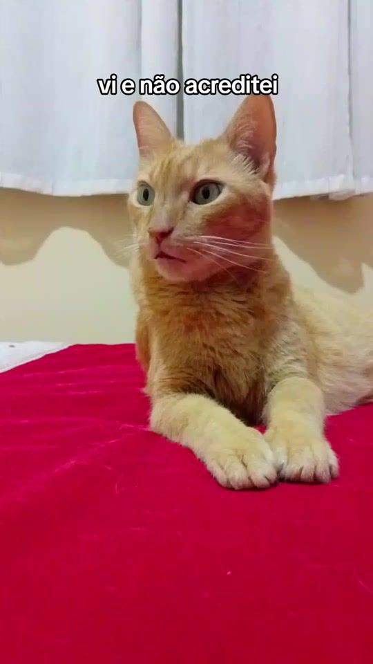 TikTok video thumbnail by mimieruginho