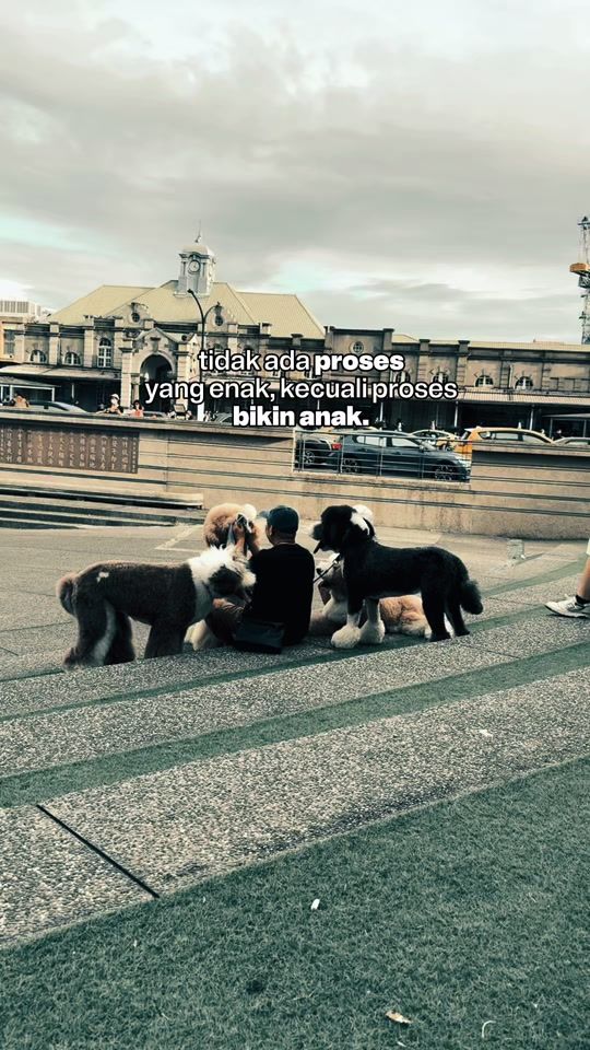 TikTok video thumbnail by muezza29