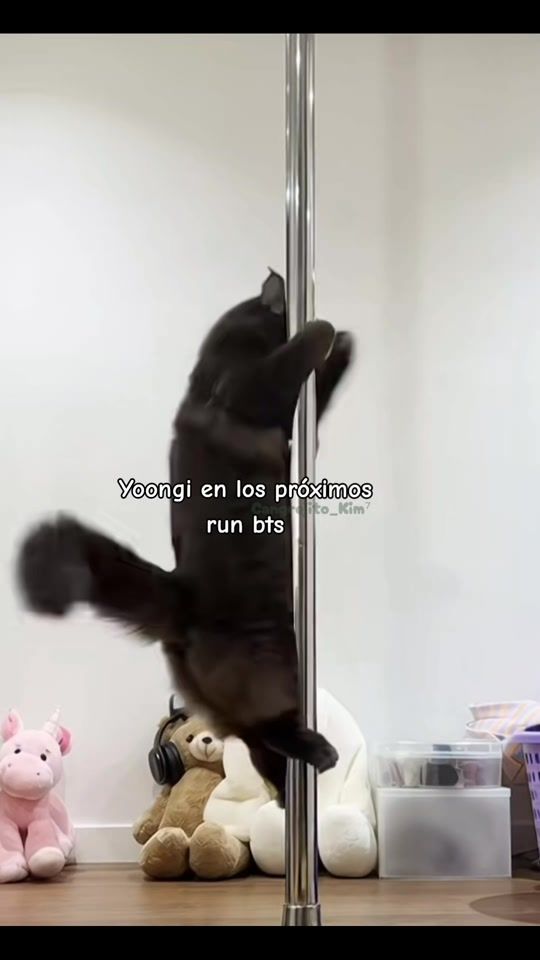 TikTok video thumbnail by 97.rkive.95