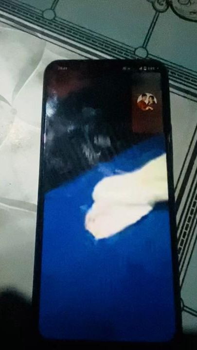 TikTok video thumbnail by addito_das