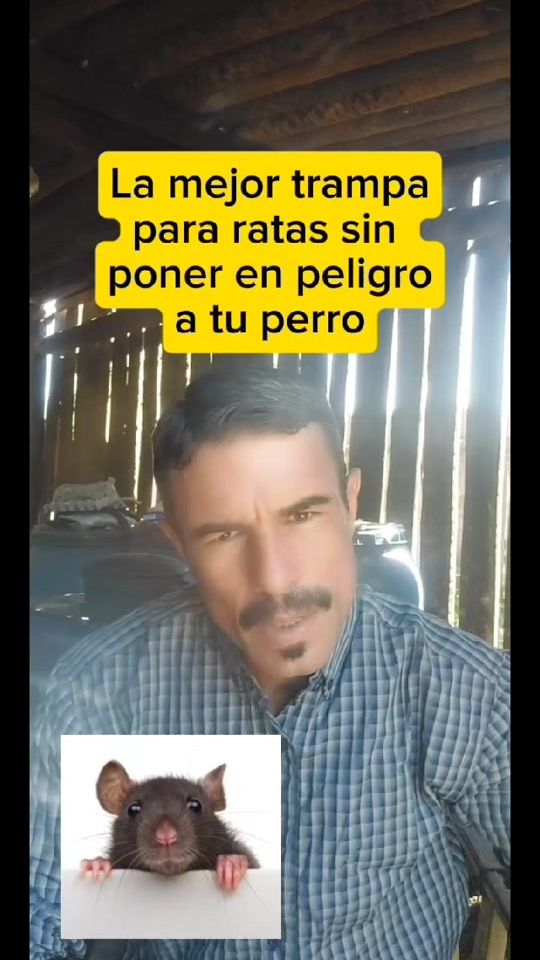 TikTok video thumbnail by hermannparaguay
