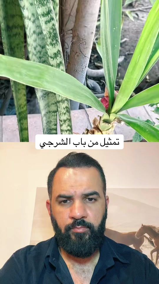 TikTok video thumbnail by ali_naji88