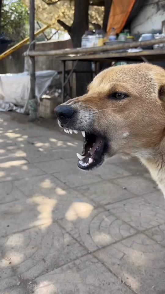 TikTok video thumbnail by elweeso_oficial