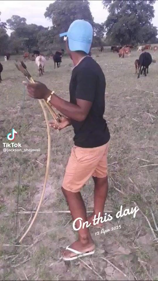 TikTok video thumbnail by jecksen18