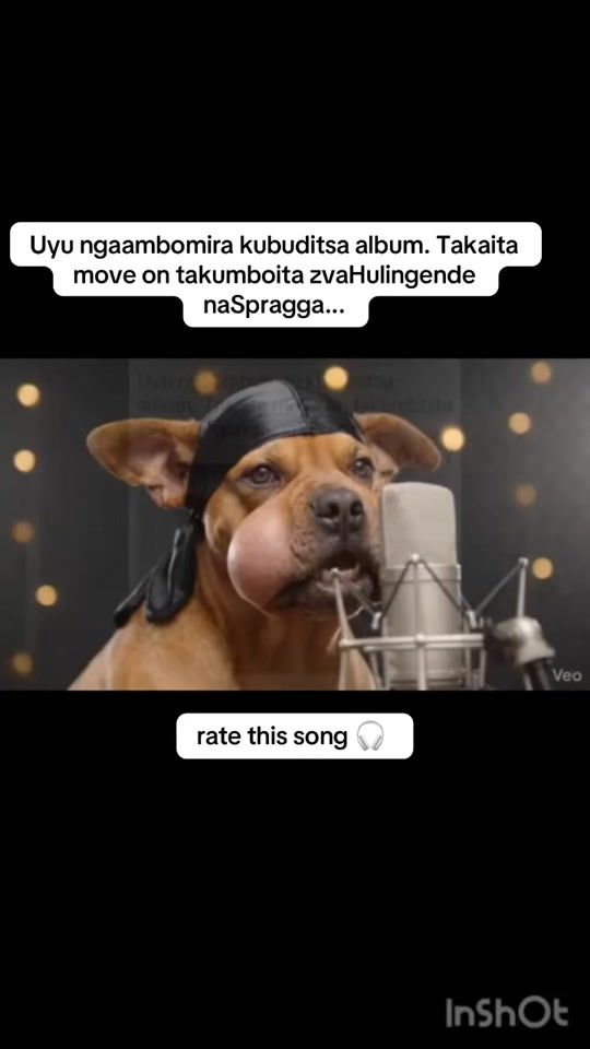 TikTok video thumbnail by zimvibesofficial