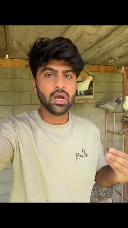TikTok video thumbnail by shehrmaindehat_offical