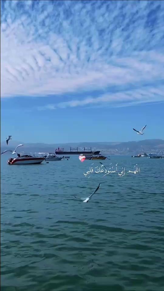 TikTok video thumbnail by raghad_9527