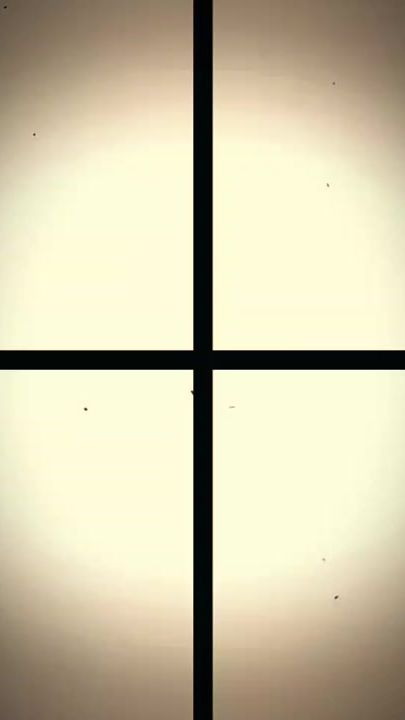 TikTok video thumbnail by quiz.boy0001