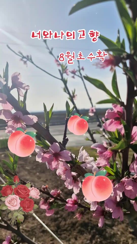 TikTok video thumbnail by hnan1004