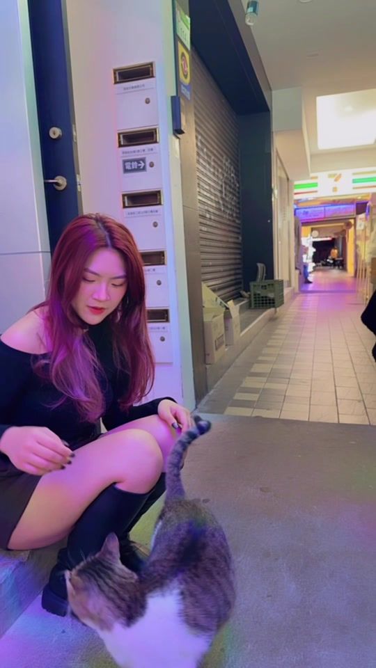 TikTok video thumbnail by lu_baby1017