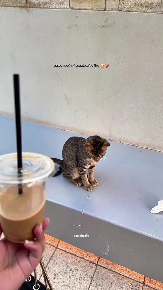 TikTok video thumbnail by beinggmyself