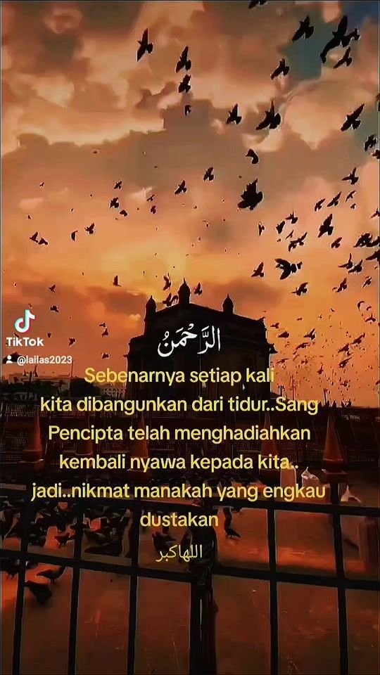 TikTok video thumbnail by lailas2023