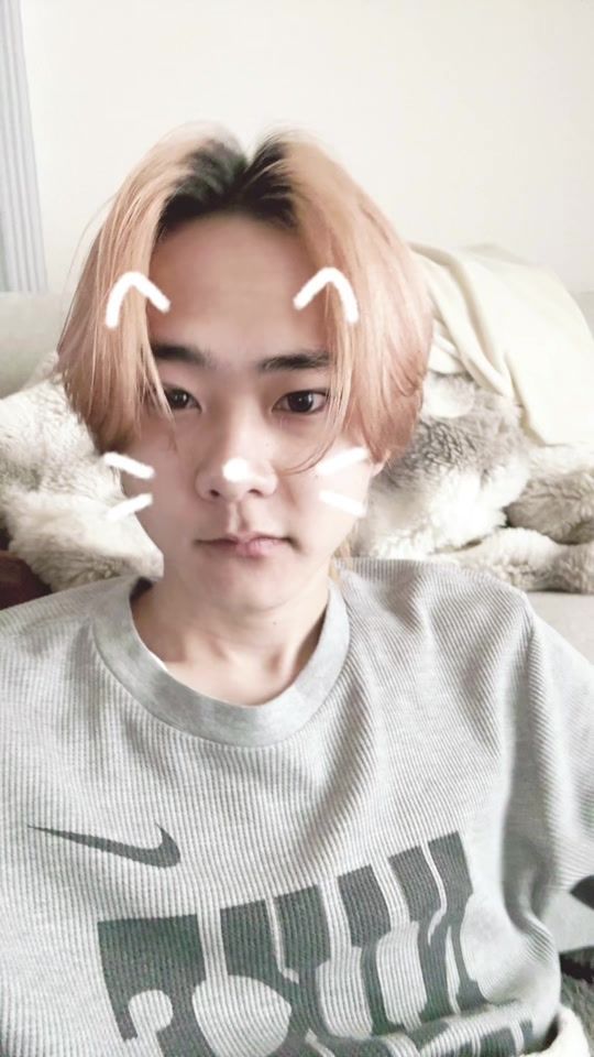 TikTok video thumbnail by qxllon4