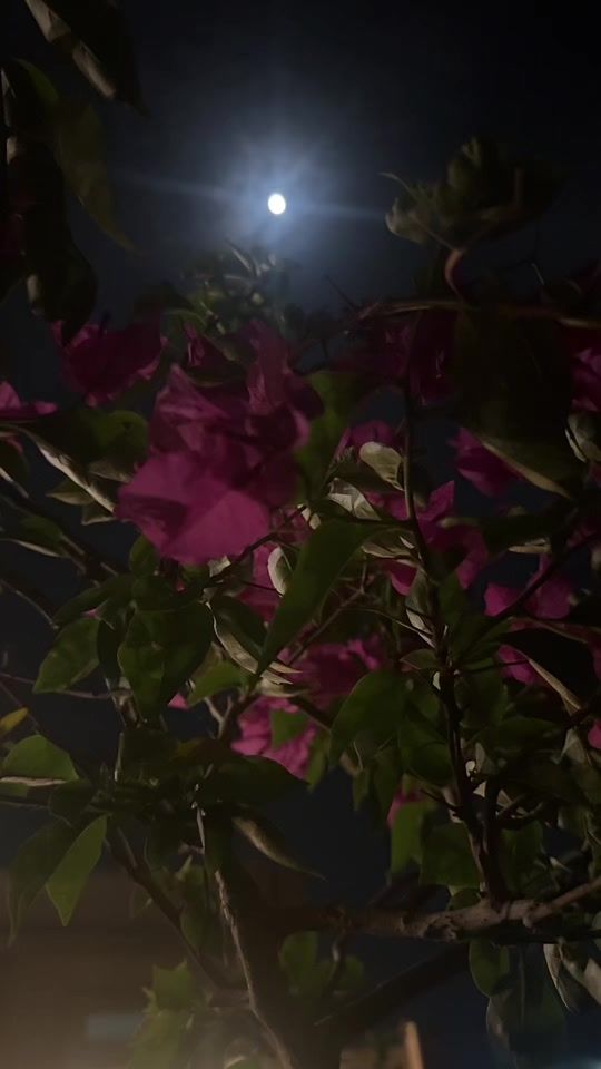 TikTok video thumbnail by hamed_al332