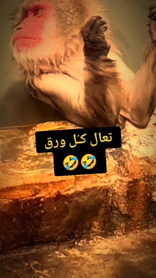 TikTok video thumbnail by rooh.204